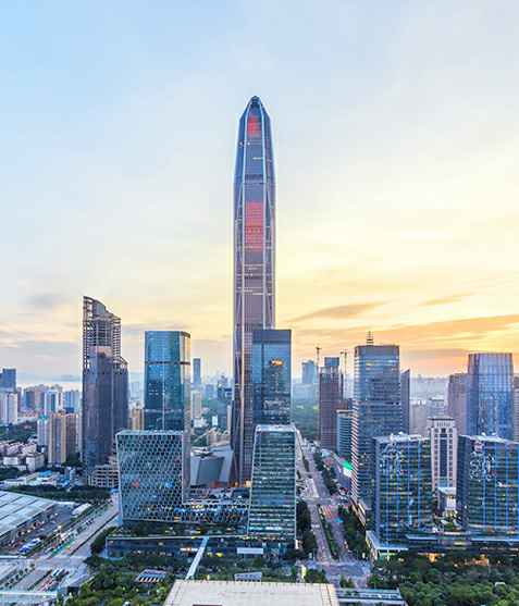 大连邹洪网上购物平台有限公司